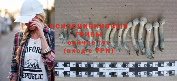 МДПВ Арсеньев