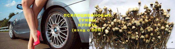 спиды Киренск